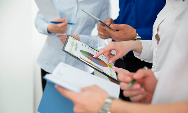 🧬 Consultorías Especializadas